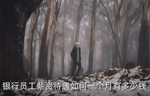 銀行員工薪資待遇如何一個(gè)月有多少錢(qián)