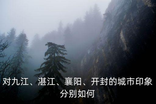 對九江、湛江、襄陽、開封的城市印象分別如何