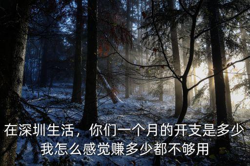在深圳生活，你們一個月的開支是多少我怎么感覺賺多少都不夠用