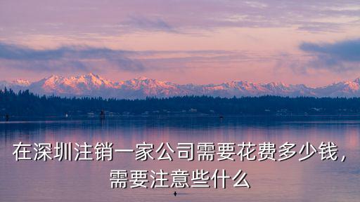 深圳注銷一般公司要多少錢費用,深圳營業(yè)執(zhí)照注銷