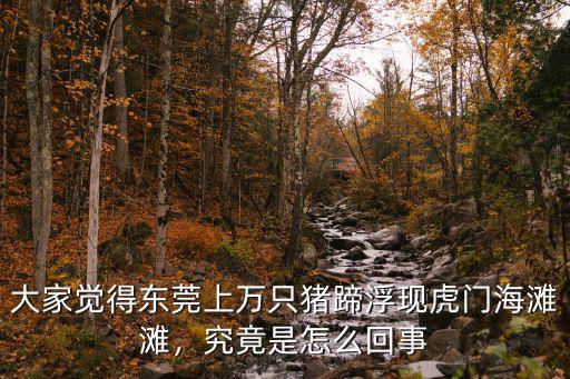 大家覺得東莞上萬只豬蹄浮現虎門海灘灘，究竟是怎么回事