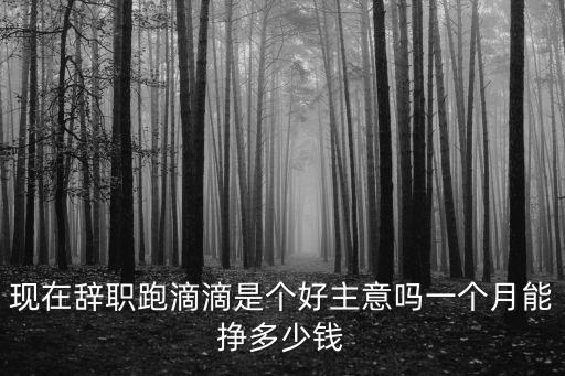 現在辭職跑滴滴是個好主意嗎一個月能掙多少錢