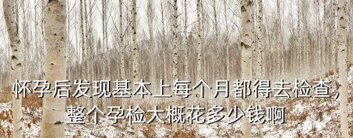 懷孕后發(fā)現(xiàn)基本上每個月都得去檢查，整個孕檢大概花多少錢啊