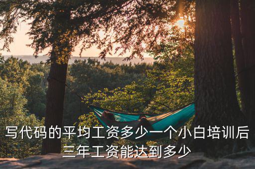 寫代碼的平均工資多少一個小白培訓(xùn)后三年工資能達(dá)到多少