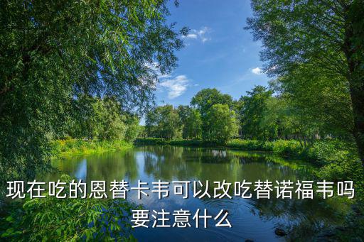 現在吃的恩替卡韋可以改吃替諾福韋嗎要注意什么