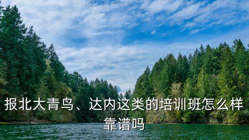 報北大青鳥、達內這類的培訓班怎么樣靠譜嗎