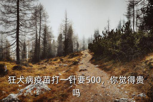 威海高區(qū)打狂犬疫苗多少錢,打狂犬疫苗一共多少錢
