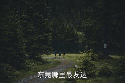 東莞哪里最繁華工廠也多,東莞哪里最發(fā)達(dá)
