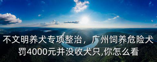 不文明養(yǎng)犬專項整治，廣州飼養(yǎng)危險犬罰4000元并沒收犬只,你怎么看