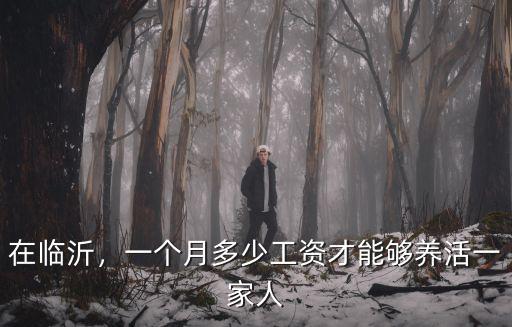 臨沂家政工資多少錢一個(gè)月,做飯干家務(wù)多少錢