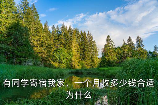 有同學寄宿我家，一個月收多少錢合適為什么