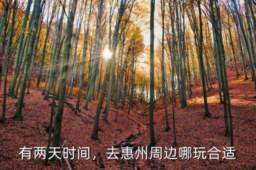 惠州港惠附近哪里有玩的,去惠州周邊哪玩合適