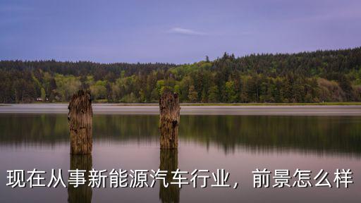 珠海九龍新能源汽車城怎么樣,比亞迪的新能源汽車怎么樣