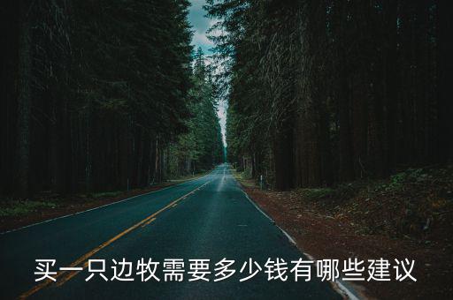 買一只邊牧需要多少錢有哪些建議