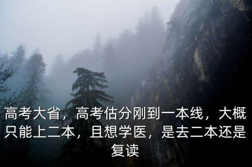 高考大省，高考估分剛到一本線，大概只能上二本，且想學醫，是去二本還是復讀