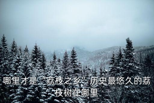 廣州荔枝節在哪里集合,歷史最悠久的荔枝樹在哪里