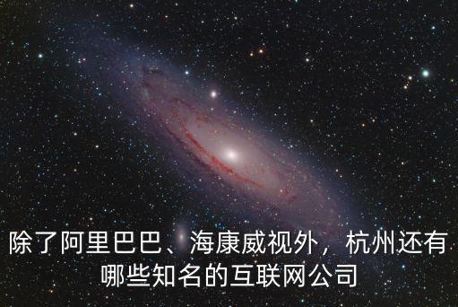 除了阿里巴巴、海康威視外，杭州還有哪些知名的互聯網公司