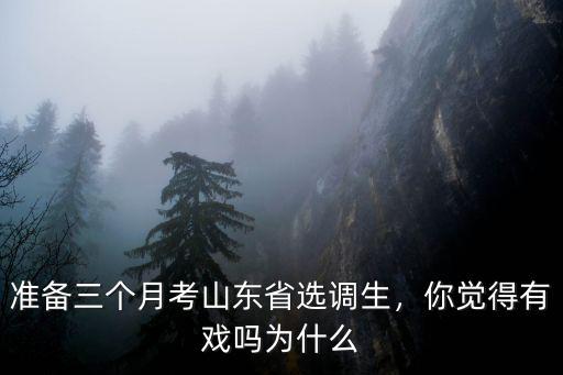 考山東省的選調生多少分能錄取,準備三個月考山東省選調生