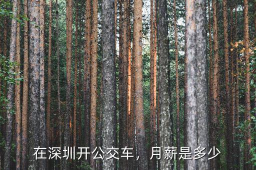 在深圳開公交車，月薪是多少