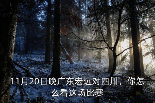 怎么看廣東宏遠對鞏曉彬,廣東宏遠艱難戰勝山東