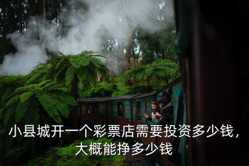 山東青島開體彩店需要投資多少錢,開一家體彩店需要多少錢
