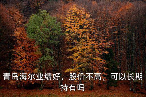 青島海爾業(yè)績好，股價不高，可以長期持有嗎