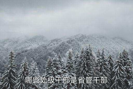 哪些處級干部是省管干部