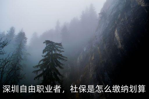 自由職業怎么交深圳社保,社保是怎么繳納劃算