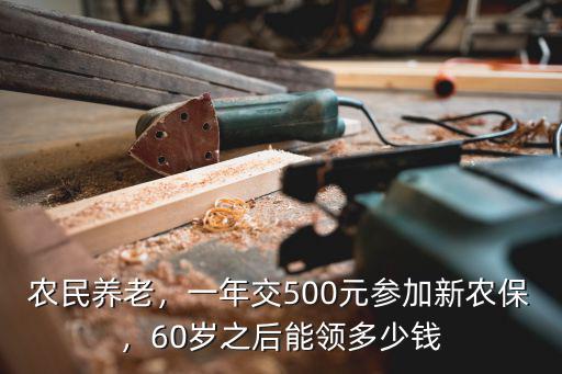 農(nóng)民養(yǎng)老，一年交500元參加新農(nóng)保，60歲之后能領(lǐng)多少錢