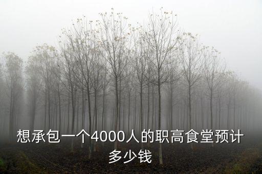 想承包一個4000人的職高食堂預計多少錢