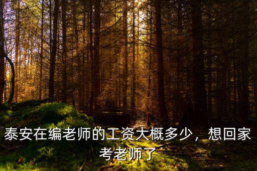泰安在編老師的工資大概多少，想回家考老師了