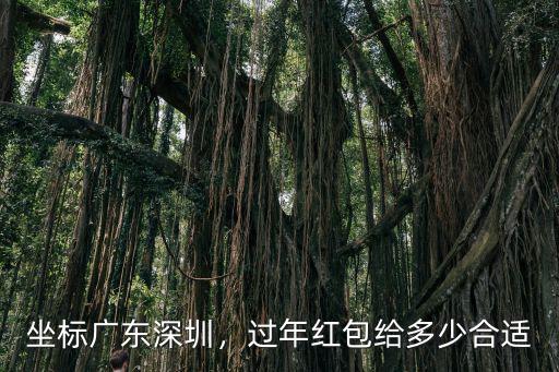 給通品教練紅包多少深圳,過年紅包給多少合適