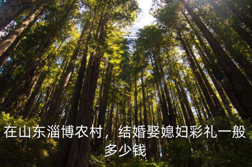 在山東淄博農村，結婚娶媳婦彩禮一般多少錢
