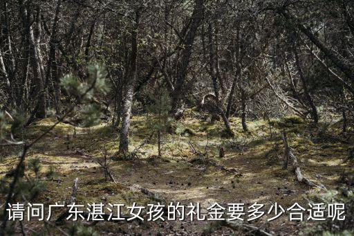 請問廣東湛江女孩的禮金要多少合適呢