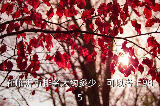 在臨沂市排名大約多少，可以考上985