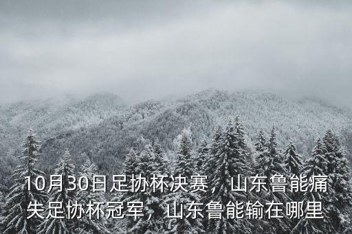 10月30日足協杯決賽，山東魯能痛失足協杯冠軍，山東魯能輸在哪里