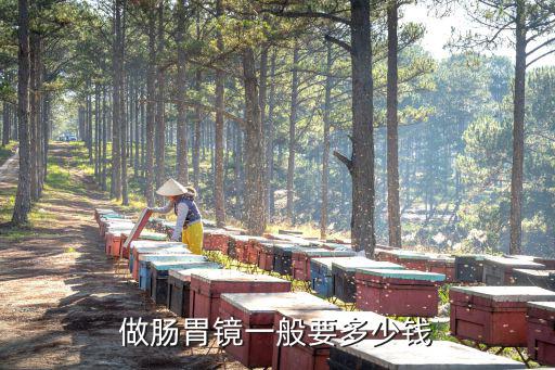 做腸胃鏡一般要多少錢