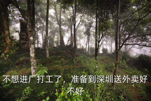 深圳打工外賣怎么樣,深圳跑外賣眾包怎么樣