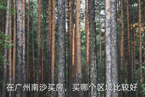 廣州南沙哪里發(fā)達(dá),在廣州南沙買房