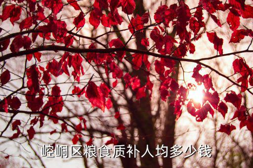 廣東示范縣補貼多少錢,崆峒區(qū)糧食質(zhì)補人均多少錢