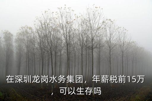 在深圳龍崗水務集團，年薪稅前15萬，可以生存嗎