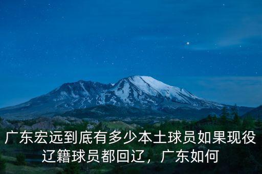廣東宏遠到底有多少本土球員如果現(xiàn)役遼籍球員都回遼，廣東如何