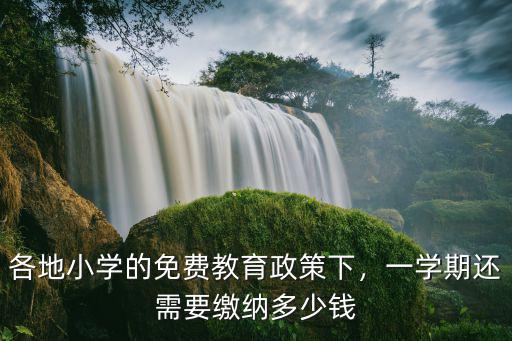 舟山小學費用一學期多少錢,一學期收4百