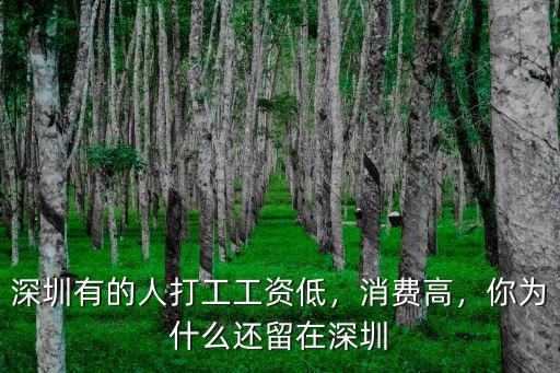 深圳有的人打工工資低，消費高，你為什么還留在深圳