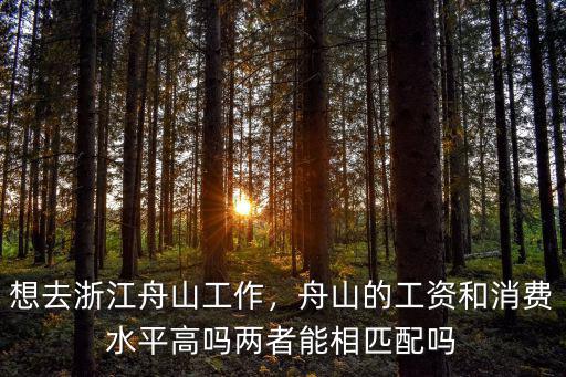 想去浙江舟山工作，舟山的工資和消費水平高嗎兩者能相匹配嗎