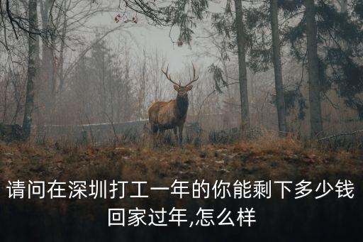 深圳mis多少錢一年,在深圳上民辦小學(xué)