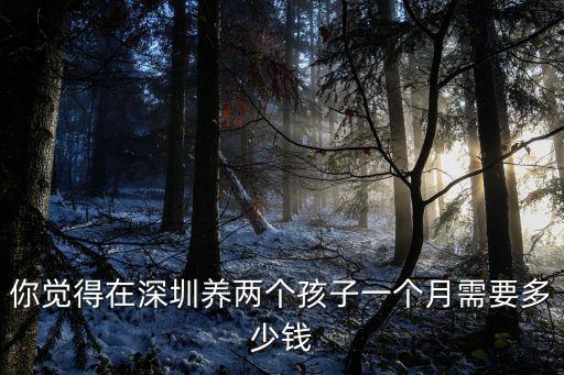 深圳開銷多少錢一個月,在深圳養一輛車