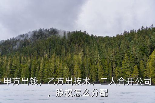 甲方出錢，乙方出技術(shù)，二人合開公司，股權(quán)怎么分配