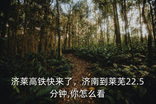 濟(jì)萊高鐵快來了，濟(jì)南到萊蕪22.5分鐘,你怎么看