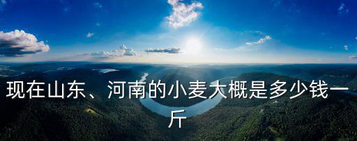 今年山東濟寧小麥價格多少錢,濟寧地區小麥的價格如何